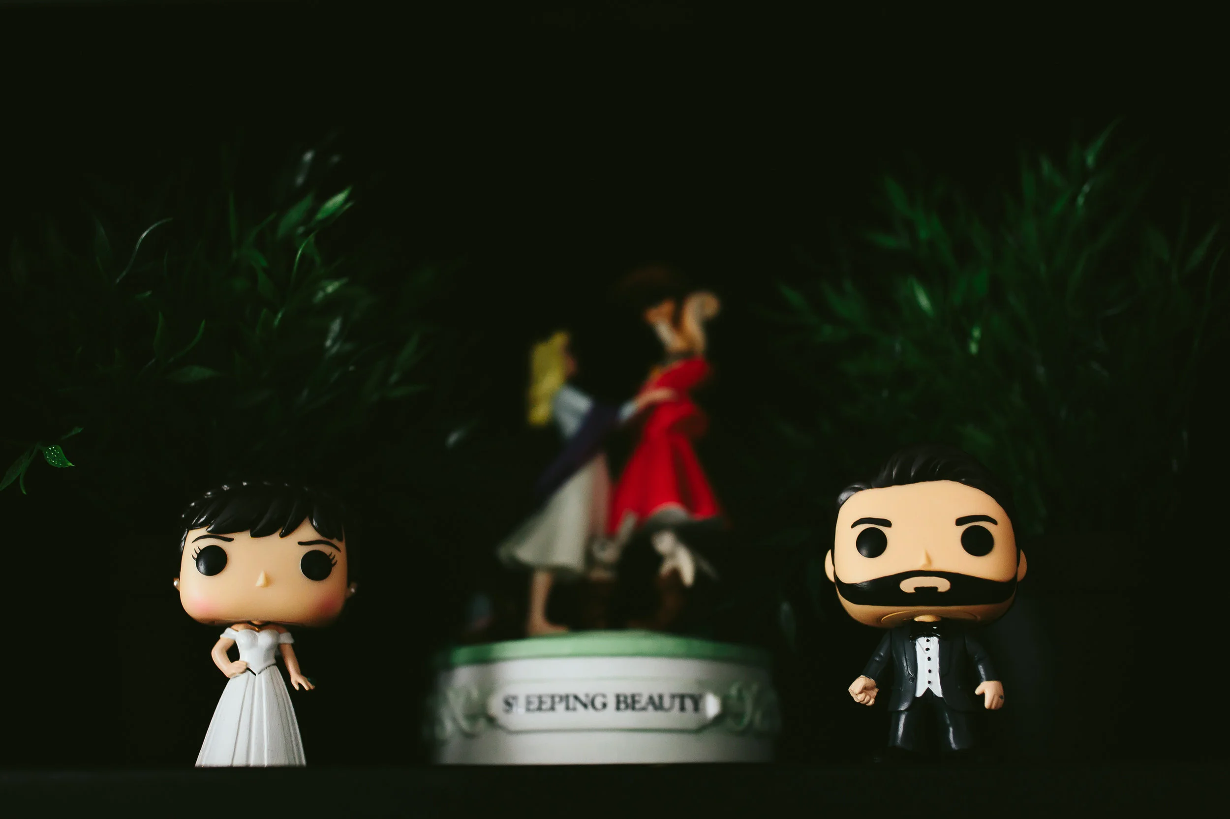 bride_and_groom_cats_in_home_session_wedding_fort_lauderdale_photographer_steph_lynn_photo-155.jpg