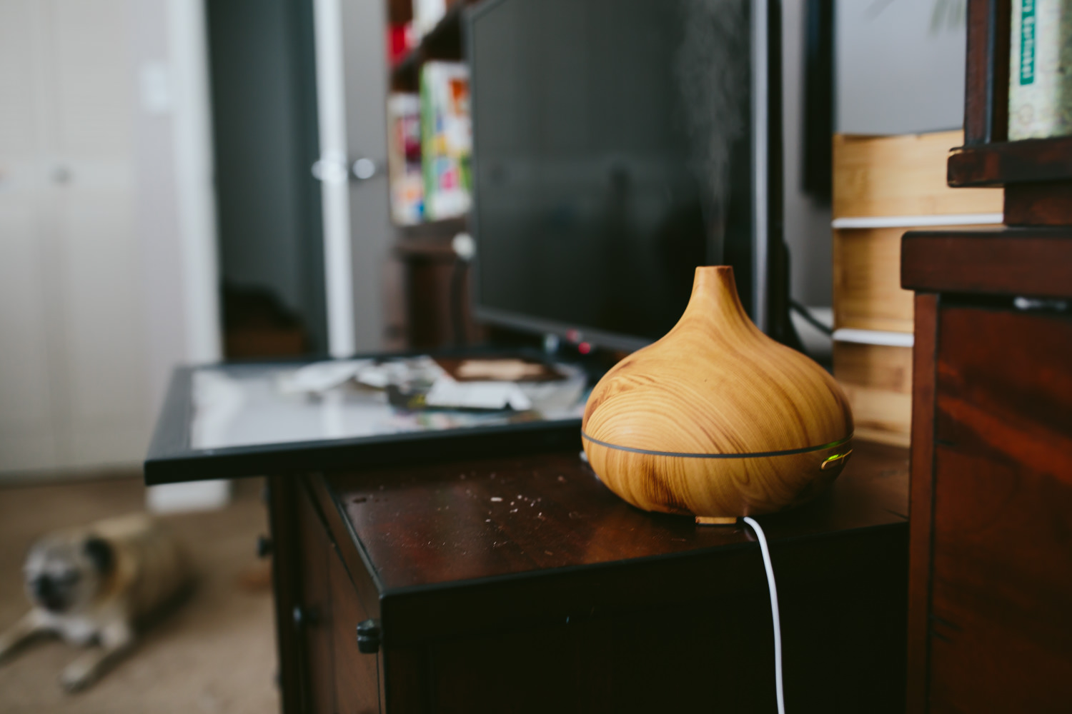 doterra + diffuser all day every day.