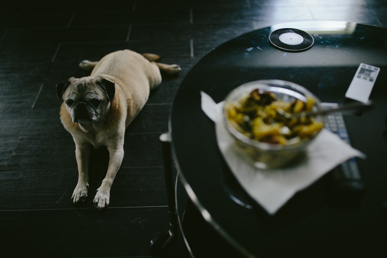….there is pug.