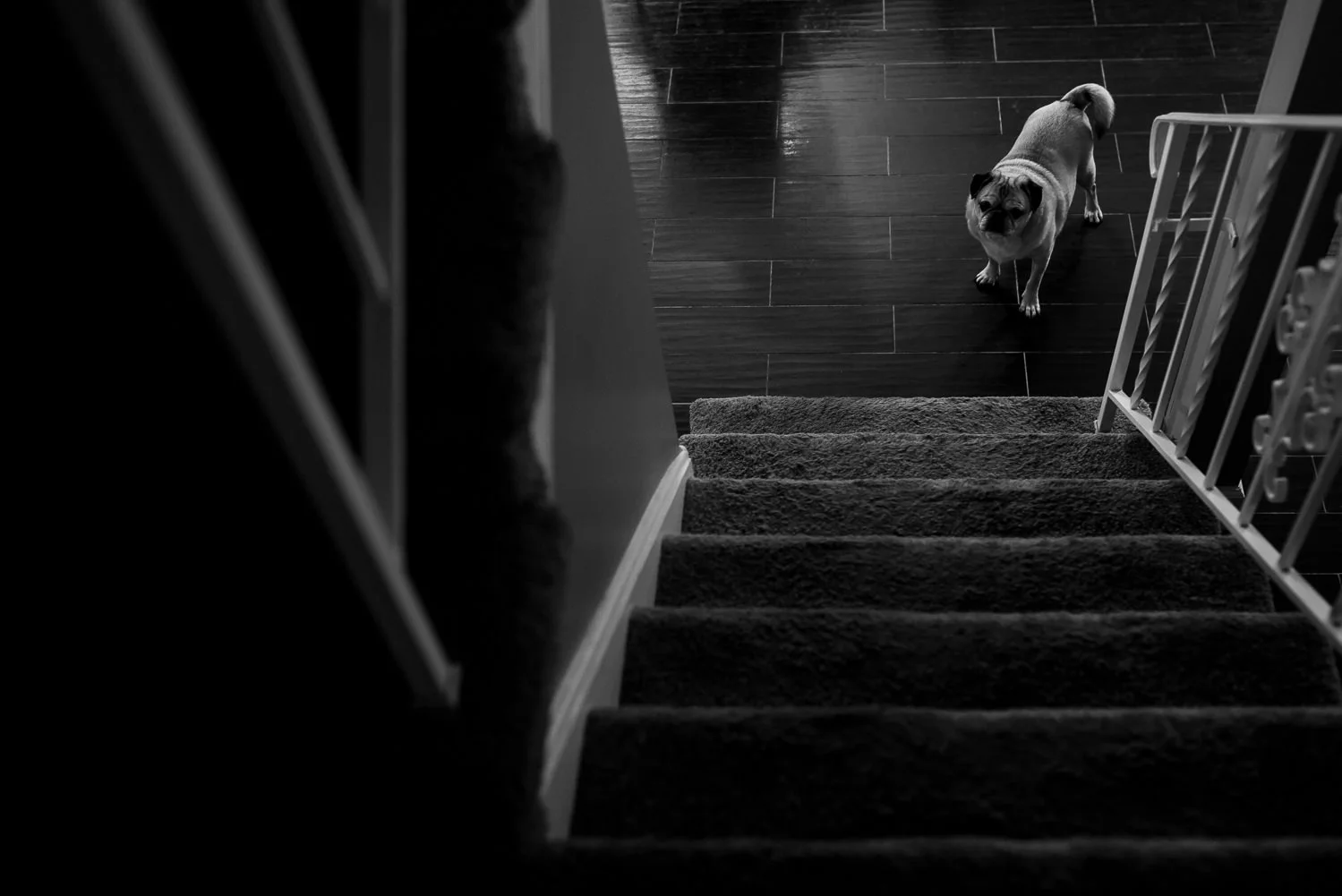 documentary_family_photographer_self_portrait_DITL-105.jpg