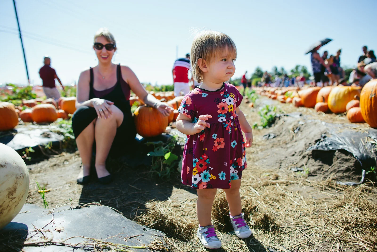 family_documentary_photography_tiny_house_photo_bedners_farmers_market_florida-44.jpg