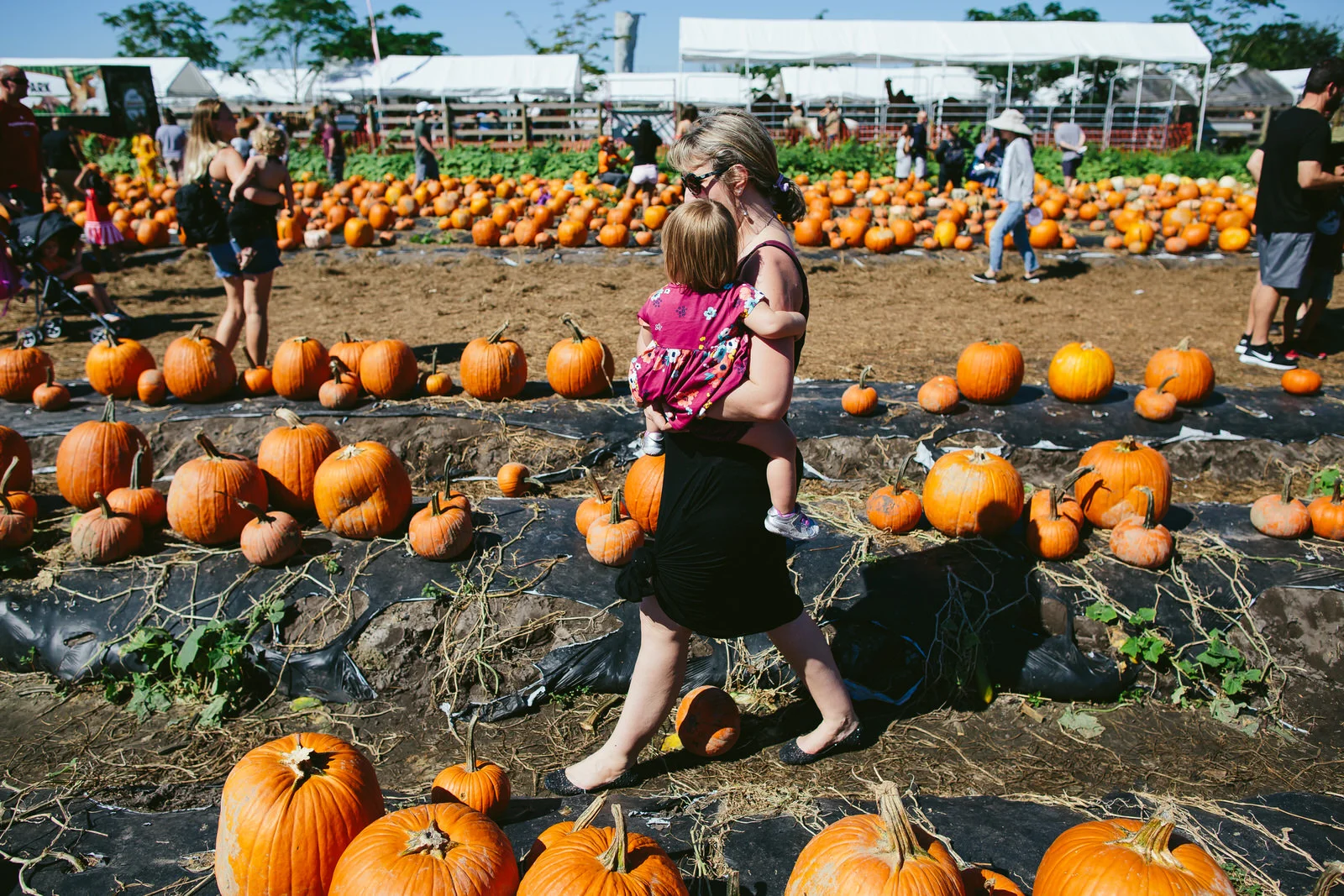 family_documentary_photography_tiny_house_photo_bedners_farmers_market_florida-51.jpg