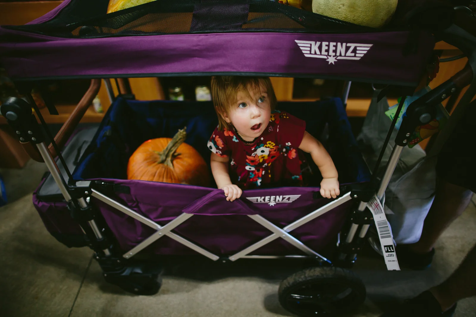 family_documentary_photography_tiny_house_photo_bedners_farmers_market_florida-74.jpg