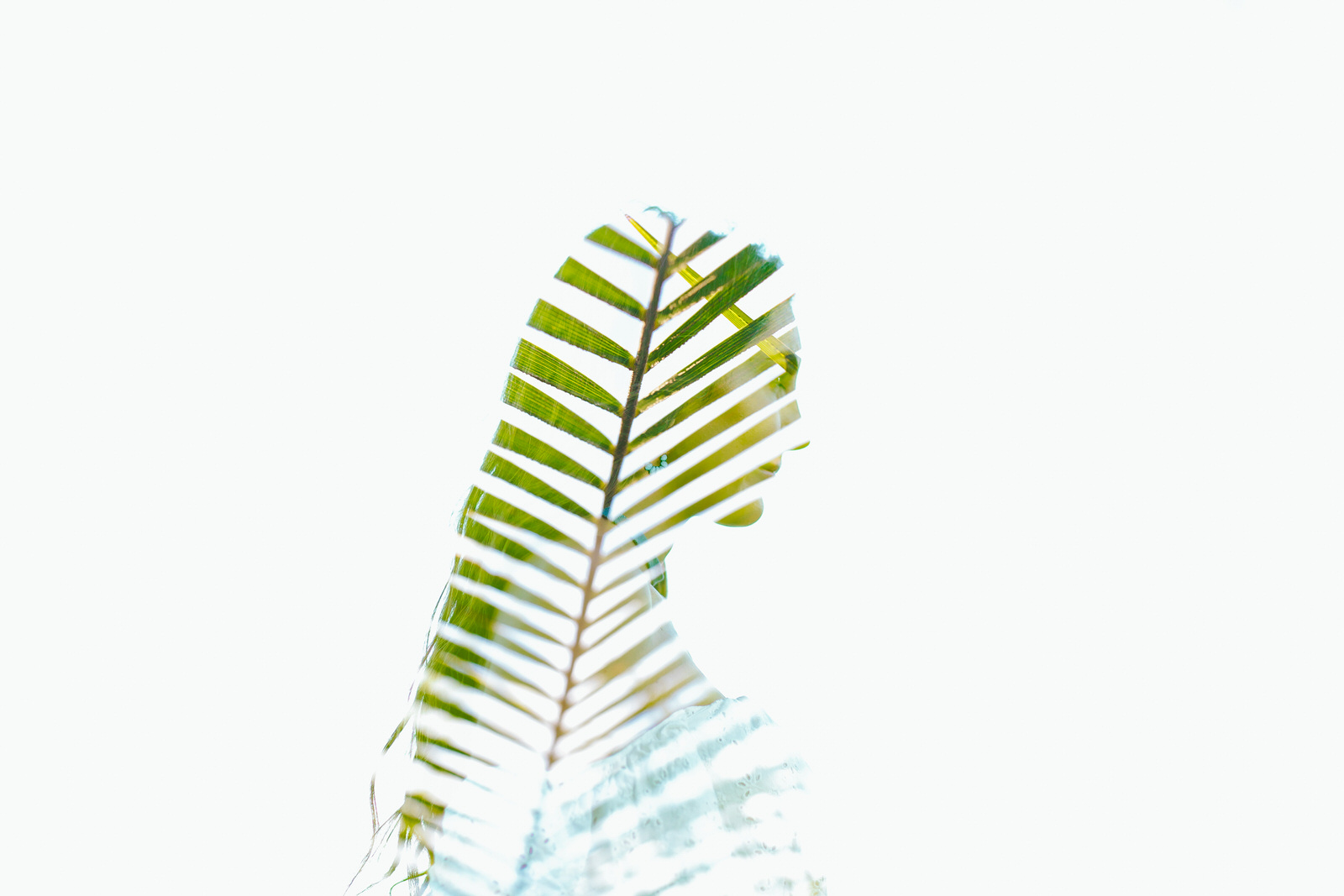 double_exposure_art_photography_tiny_house_photo.jpg