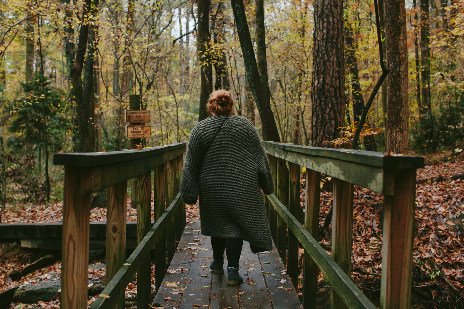 leaving the woods