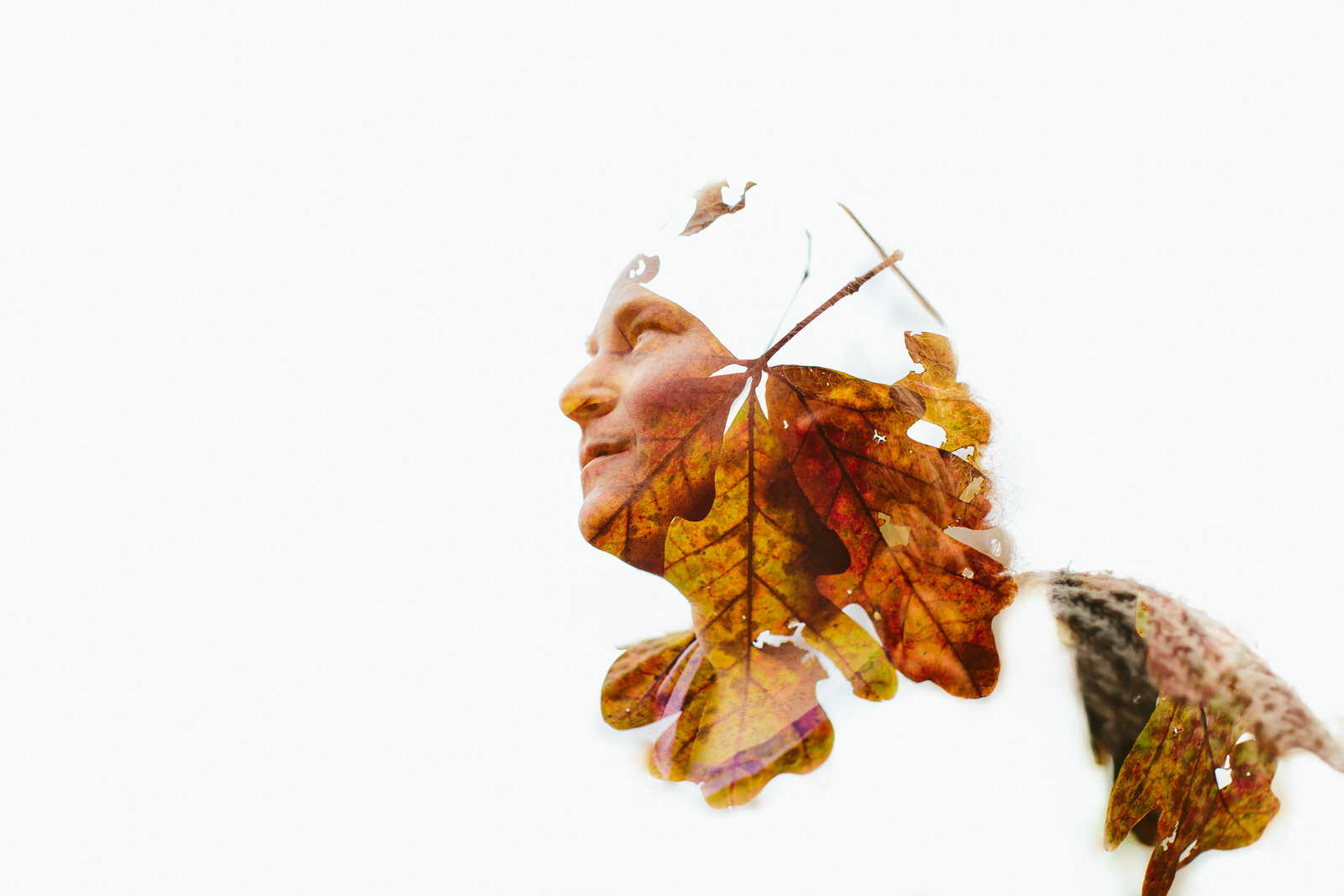 fall double exposure asheville portrait photographer