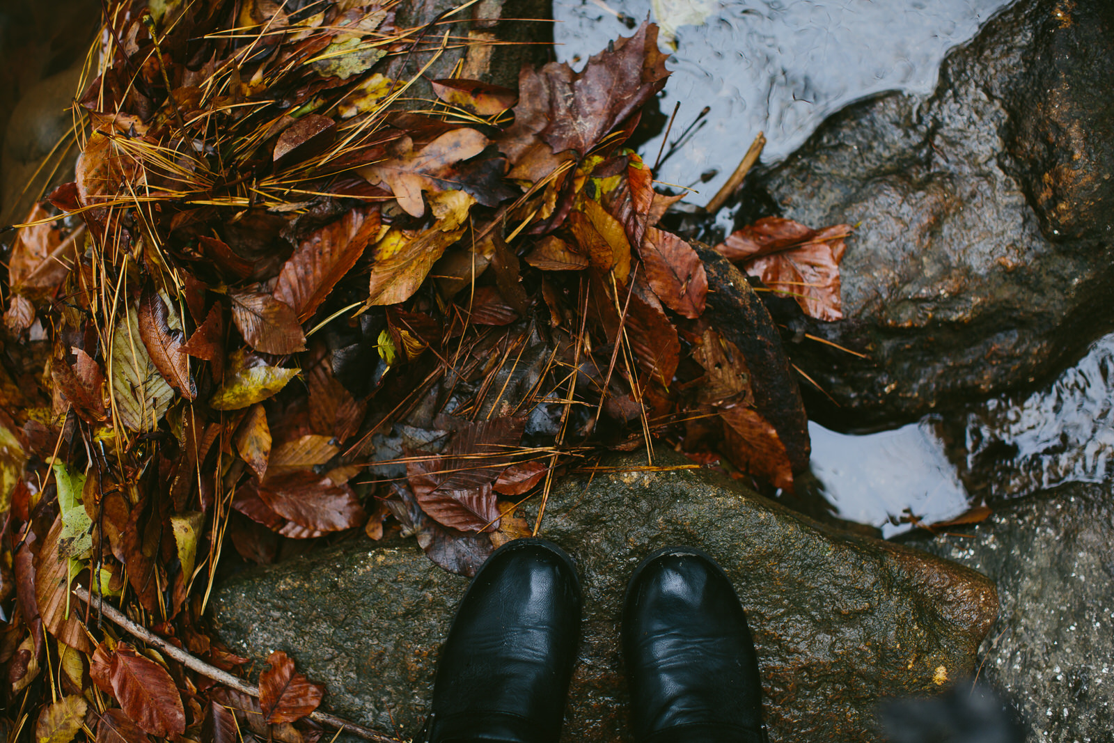 looking_down_leaves_creek_nature_fall_hiking.jpg