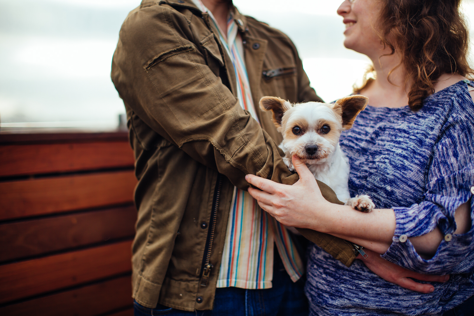happy_engaged_couple_with_puppy_bay_area_wedding_photographer.jpg