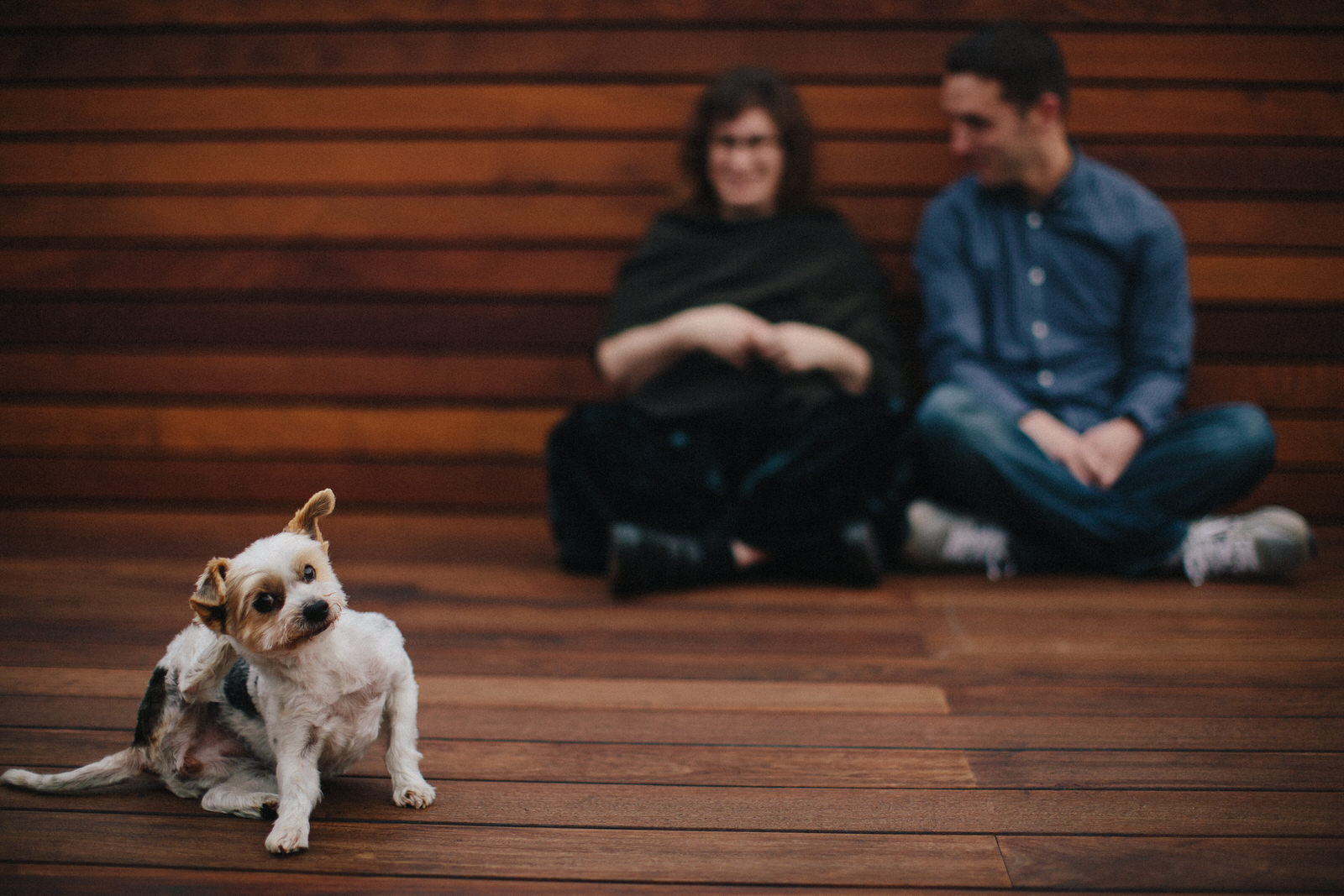 lifestyle_engagement_portraits_at_home_with_pets_dog_bailey_couple.jpg