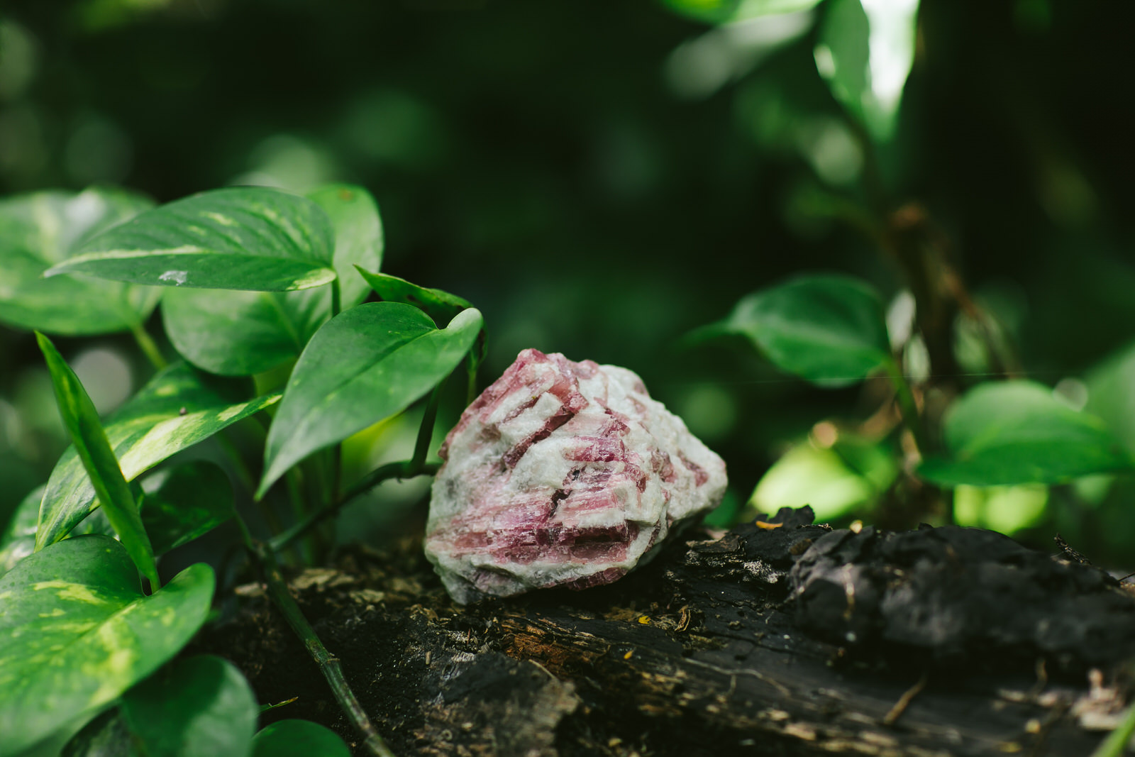details-boho-wedding-shoot-tiny-house-photo-15.jpg