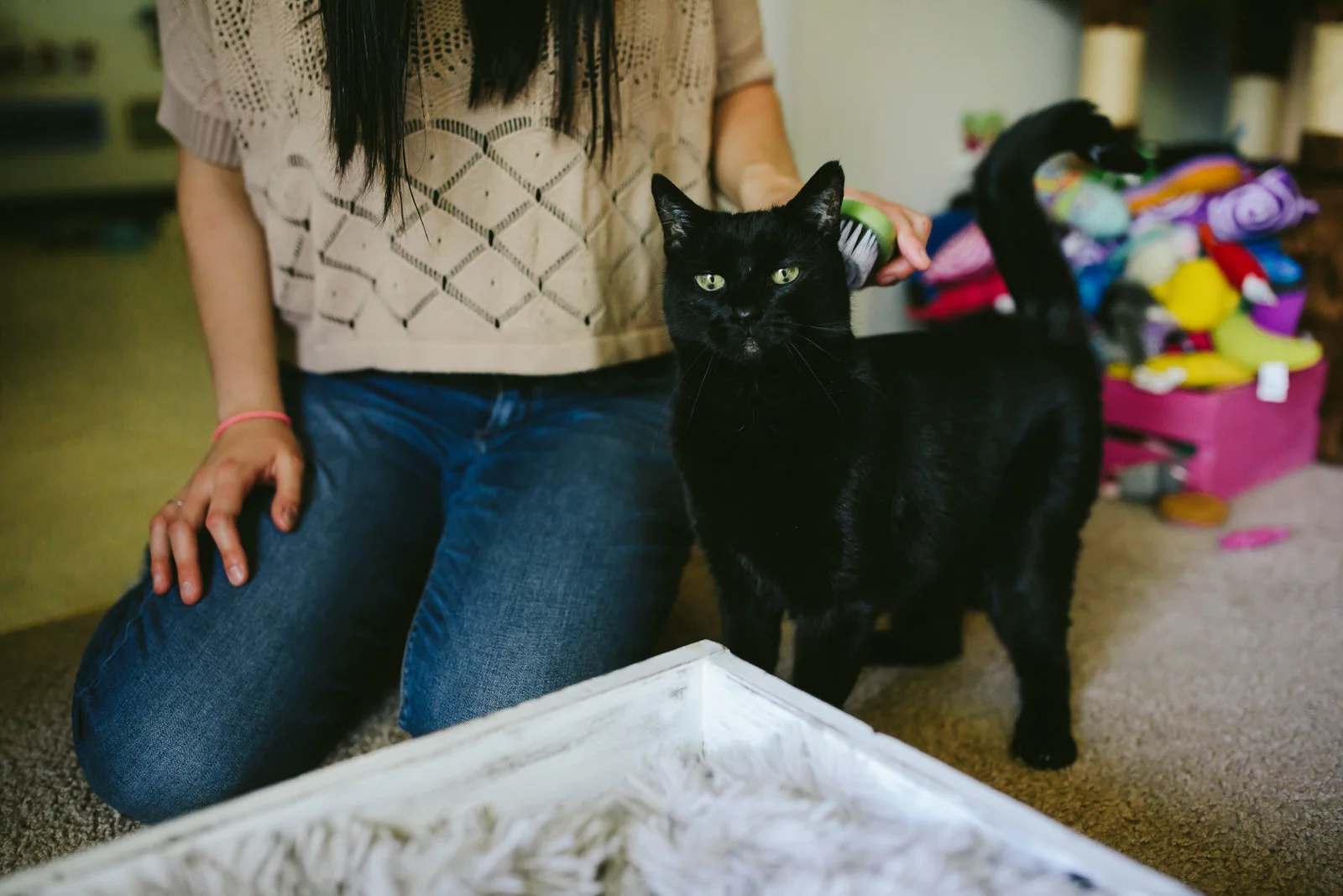 engagement-session-home-kitties-family-getting-married-tiny-house-photo-wedding-photographer-11.jpg