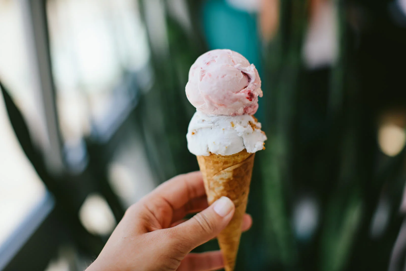 vegancation-nashville-vegan-ice-cream-kokos.jpg