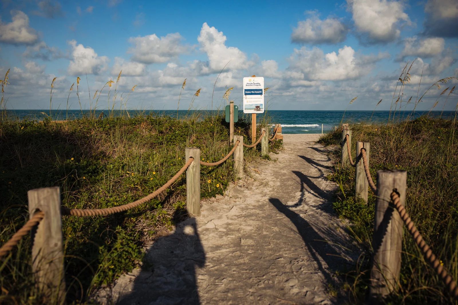 siesta-key-florida-tiny-house-photo-vacation-beach-nature-macro-10.jpg