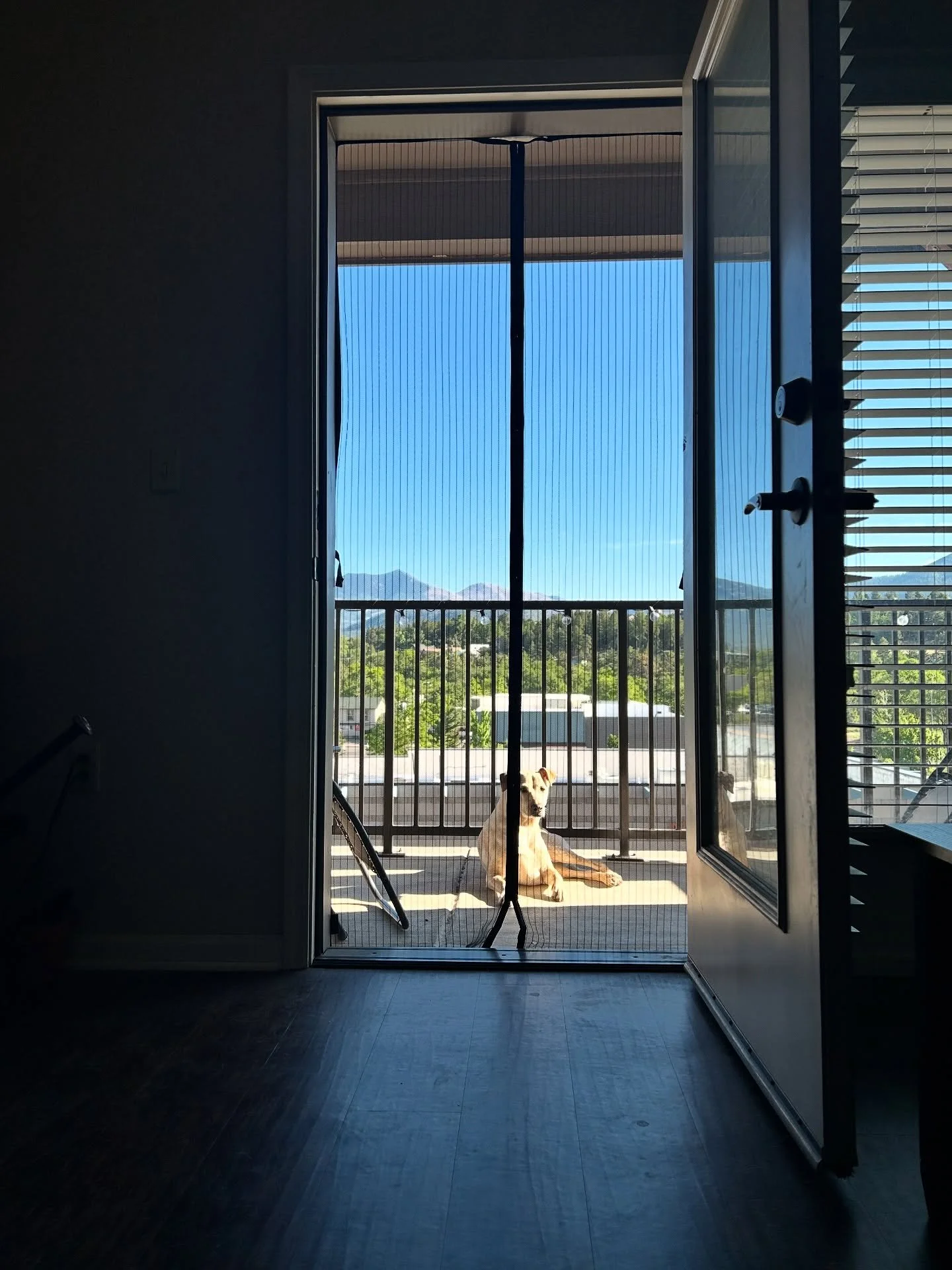 My camera has been quiet lately. I haven't used it much this summer because I didn't feel the excitement of it and was busy adjusting to my new full-time job. I gave myself the space to step away from photography over the summer, so here are some iph