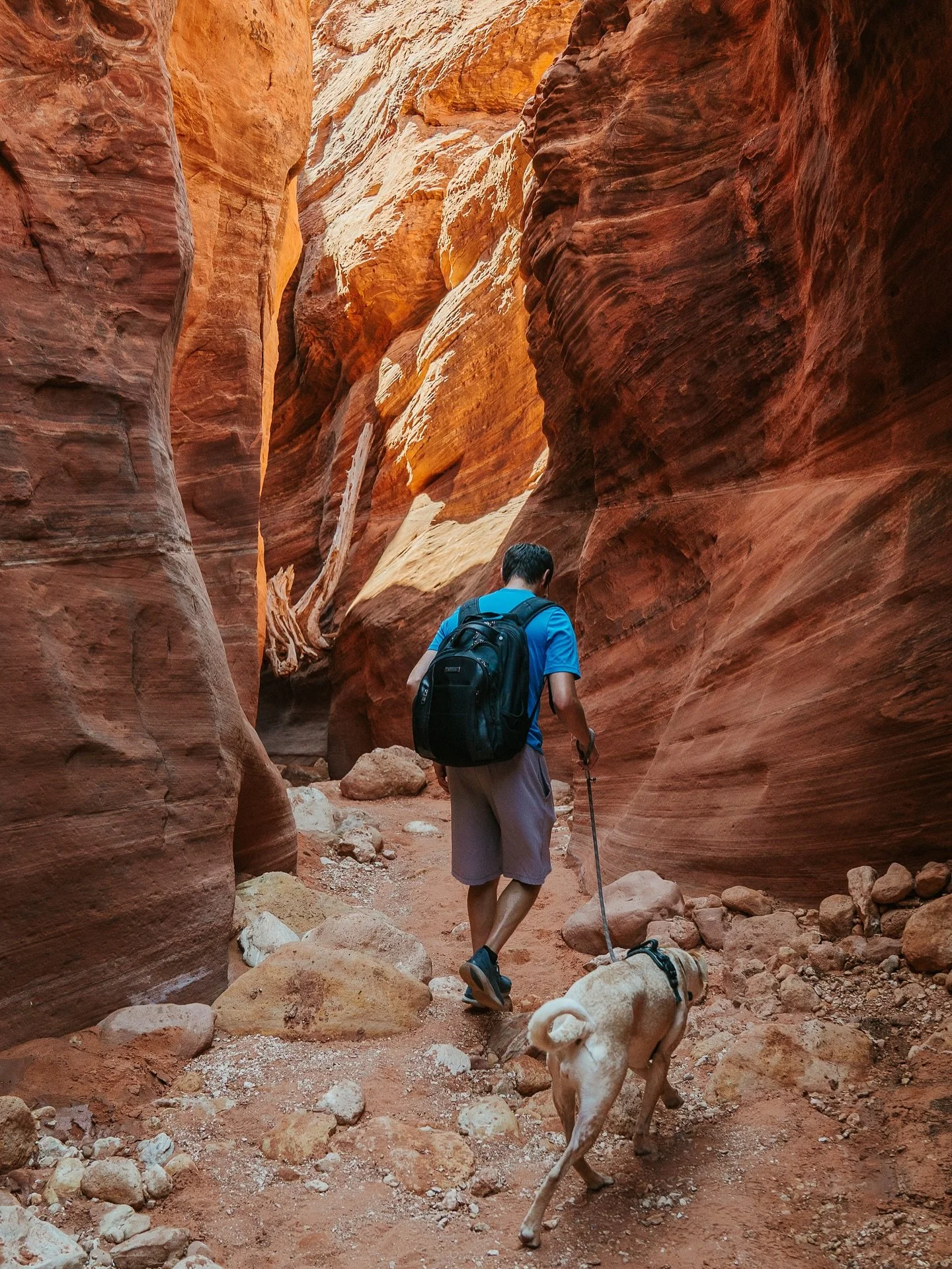 Nick &amp; Pip ❤️

#kanabutah #travelphotography #adventurephotography #buckskingulch #slotcanyon #adventuredog #dogsofinstagram #photographer #southwestphotographer #arizonaphotographer