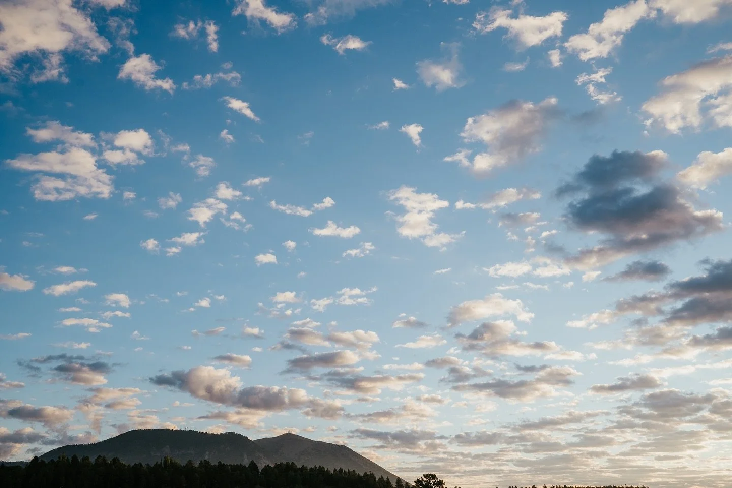 looking up the weather where you are

#skyblue #northernarizona #photographer #arizonaphotographer #arizonaphotography #nature #naturephotography