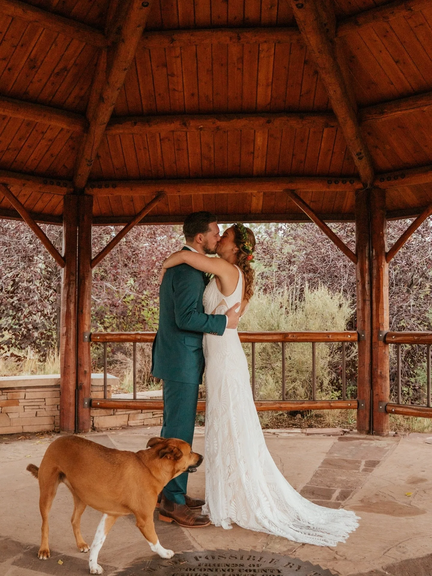 Ali &amp; Adam got married last fall on a rainy monsoon day (a sign of good luck!) and everything smelled like fresh pine trees. There was a lot of line dancing and good doggos and delicious cupcakes and heartfelt speeches and the way this couple loo