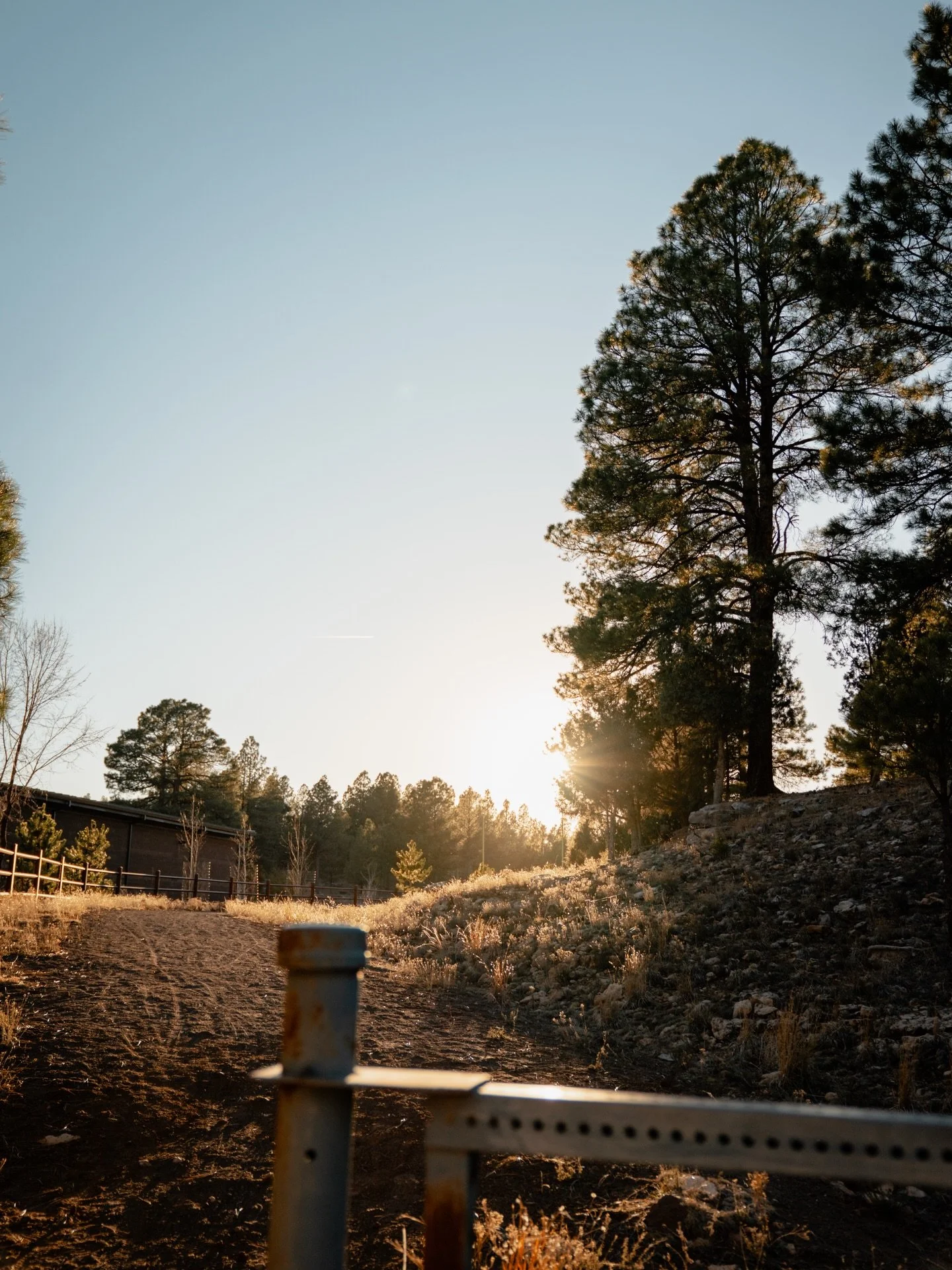 "Do you wanna go on a WALK? ...OUTSIDE?"

#flagstaff #arizona #mountaintown #northernarizona #arizonaphotographer