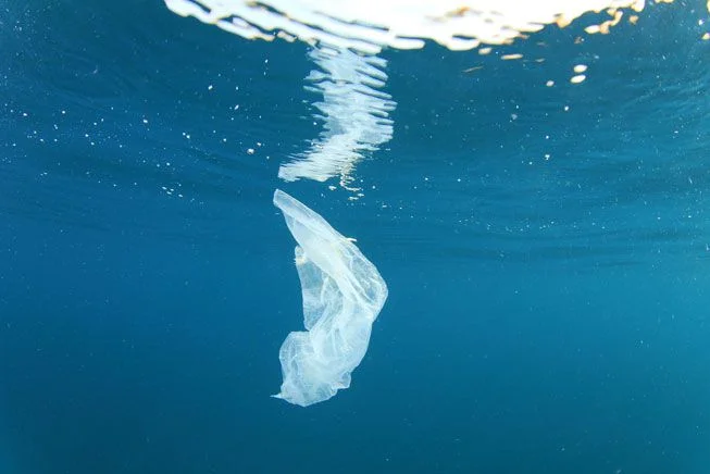 Plastic Bags