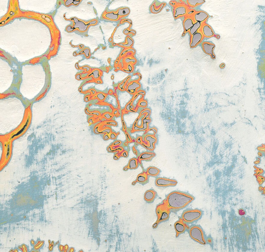 Beeautiful Connections-crop 2 - Copy.jpg