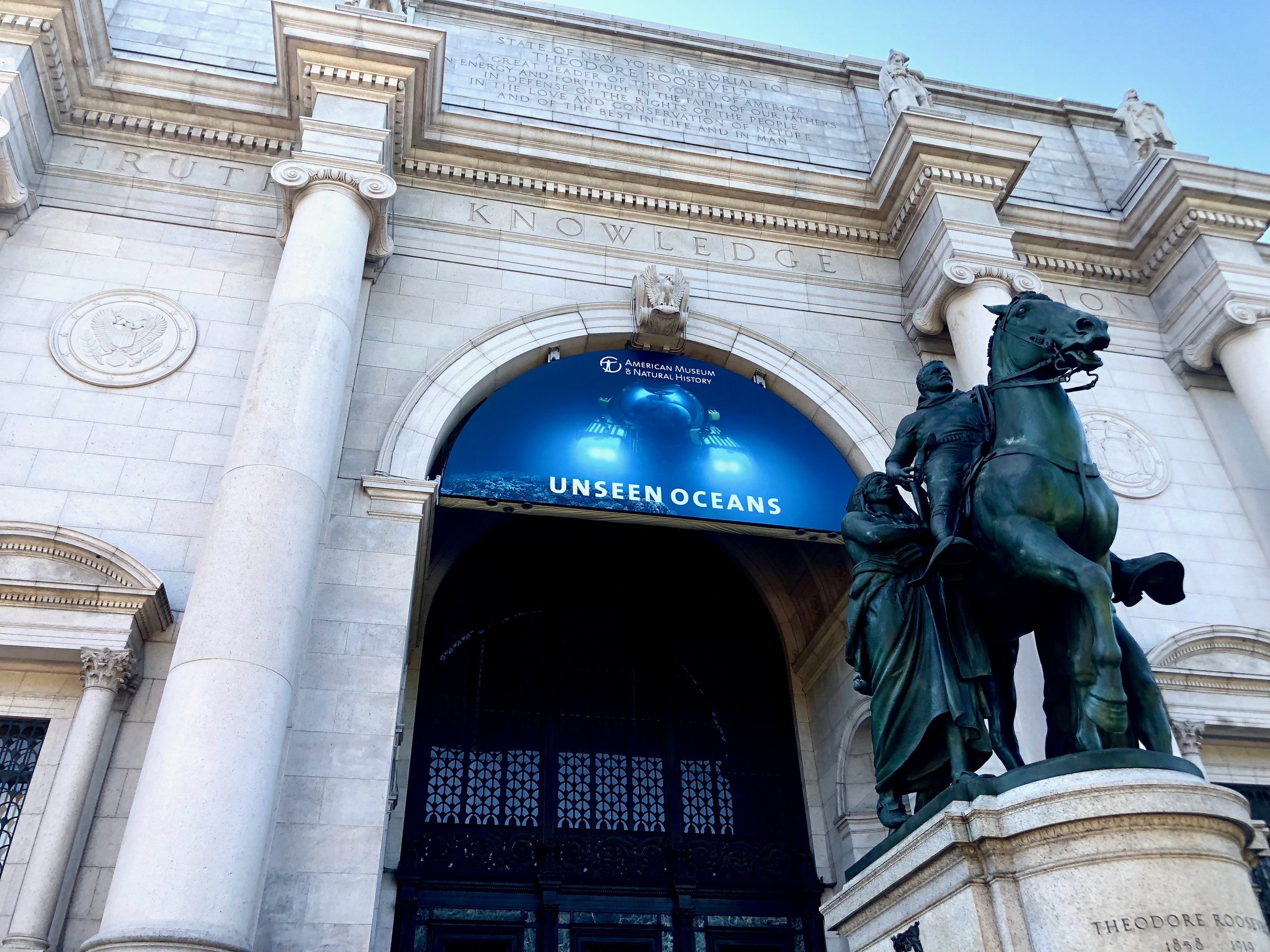 Image taken by Samantha McHenry, American Museum of Natural History, 2018.