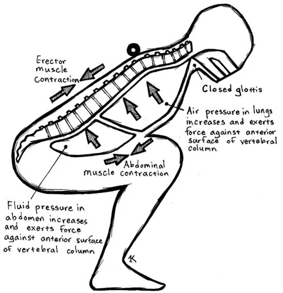 fig2_valsalva.jpg