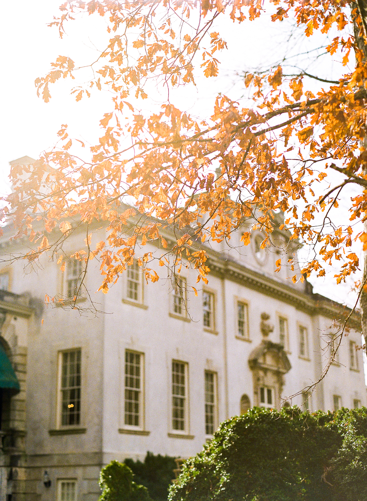 Fall Foliage at The Swan House | Simply Charming Socials | Atlanta Wedding Planner
