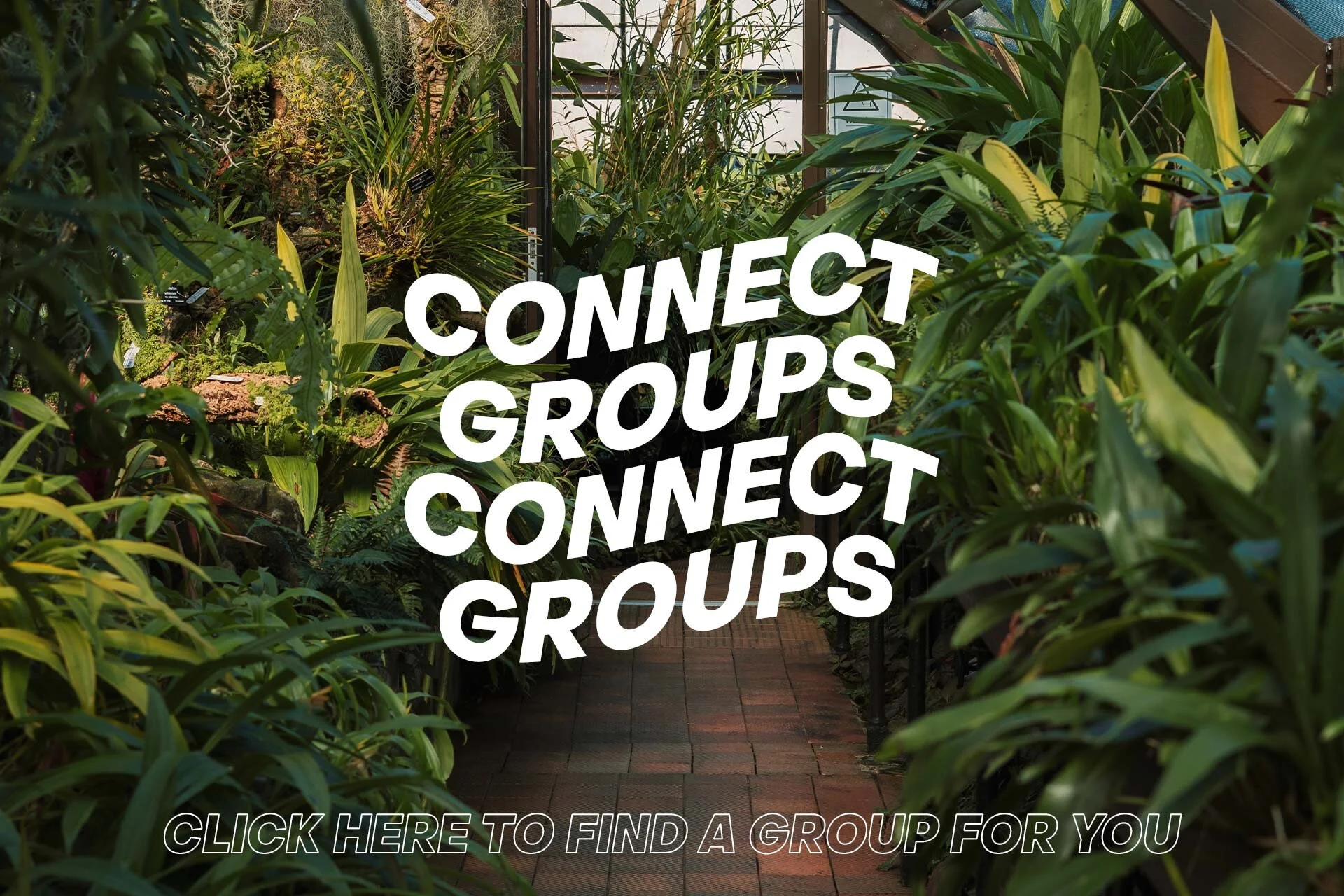 CONNECT WEBSITE_.jpg