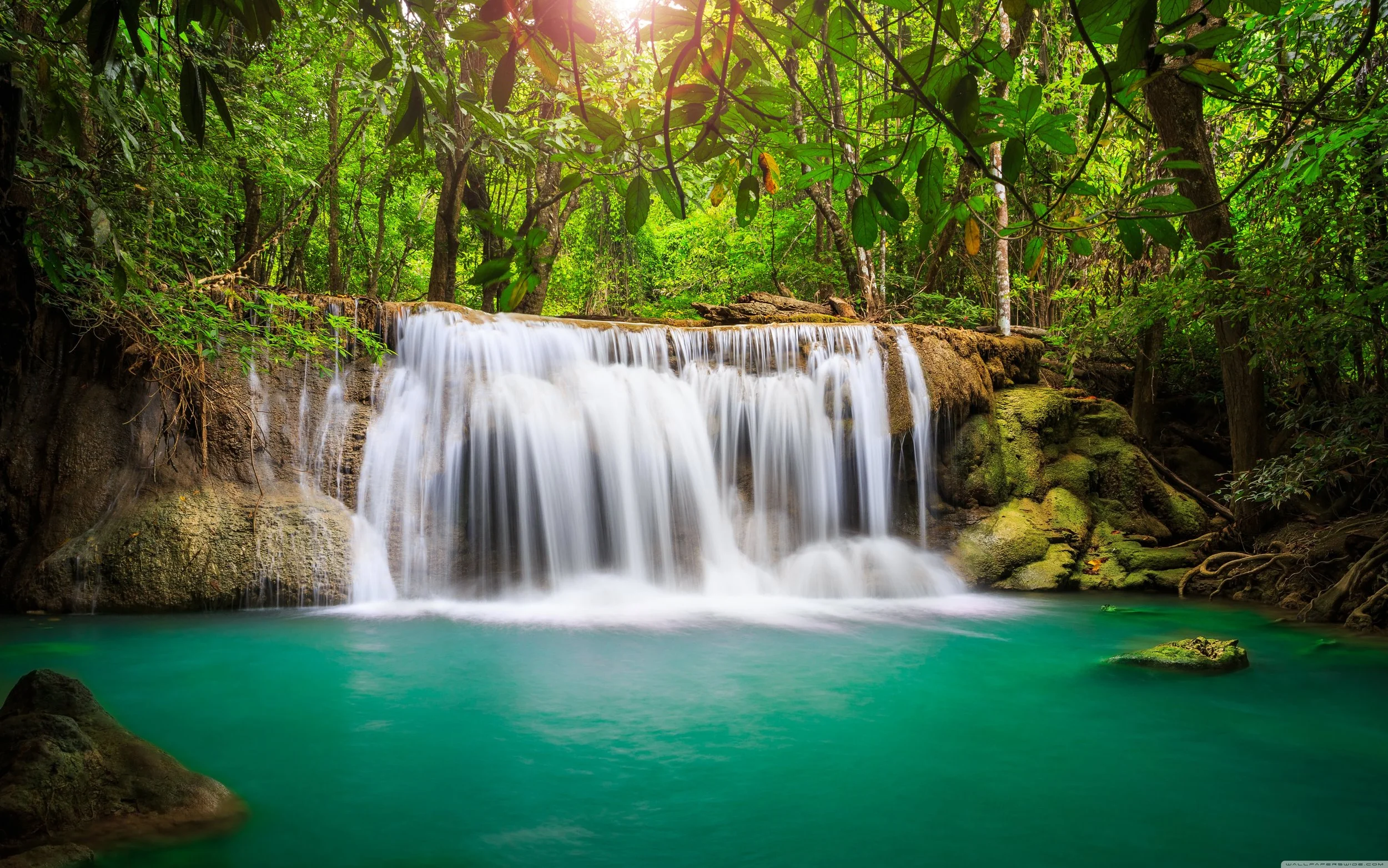 rainforest_waterfall-wallpaper-5120x3200.jpg