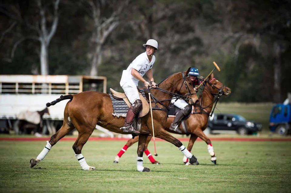Wirragulla Polo Clinic
