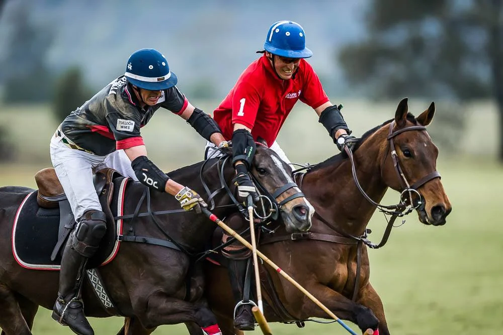 Wirragulla Polo Club Membership