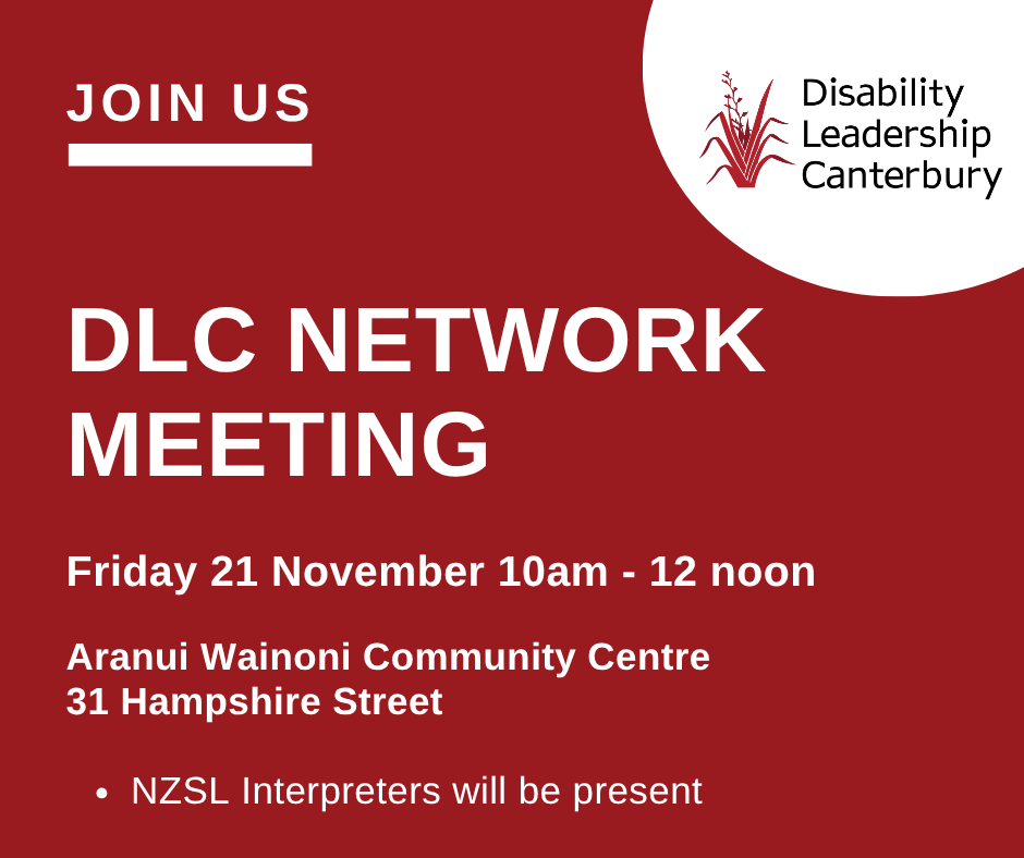 21 November 2025: DLC Network Meeting