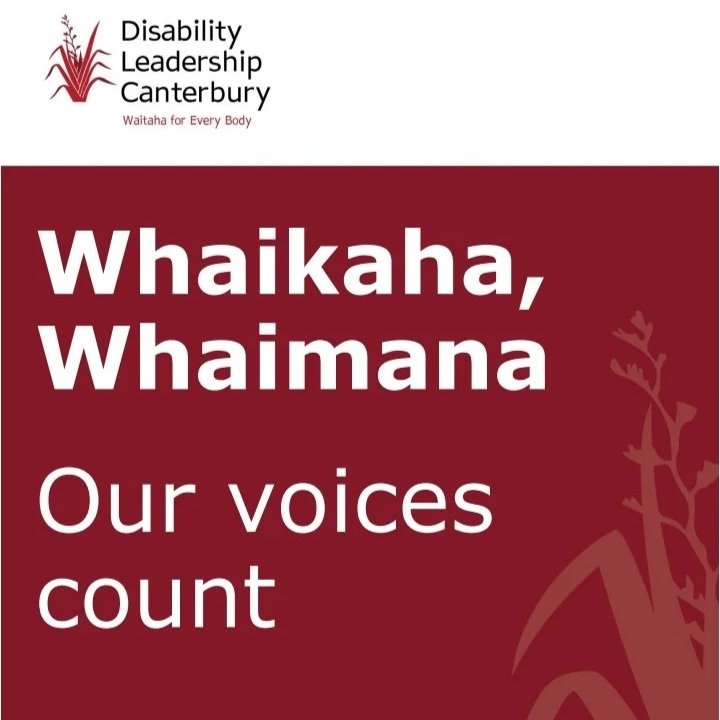 DLC Newsletter: Next Steps in "Our Voices Count" campaign