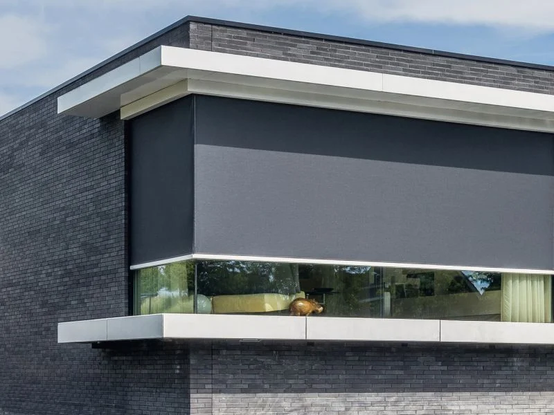 Renson Panovista.jpg