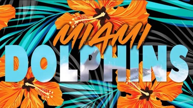 DOLPHINS MUSIC VIDEO