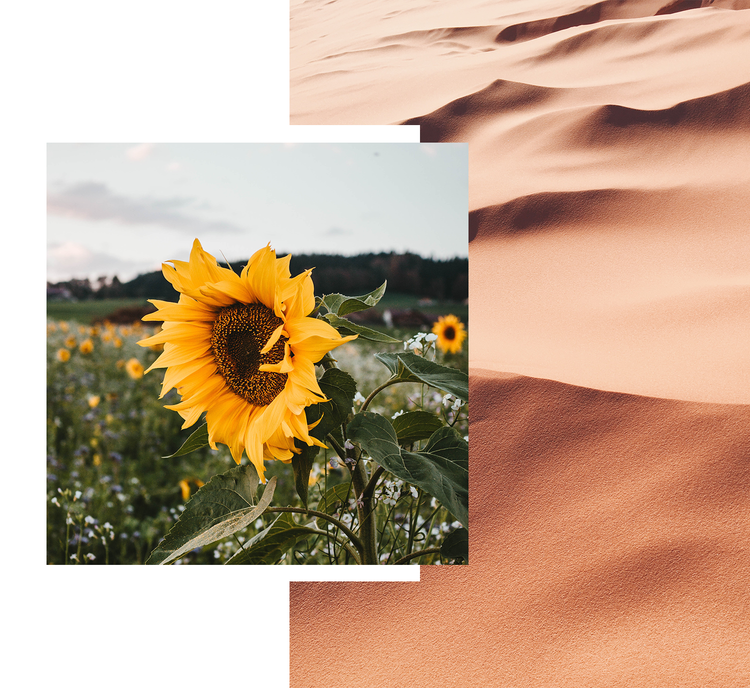 Kylie McBeath | Being is Beautiful | https://www.kyliemcbeath.com/