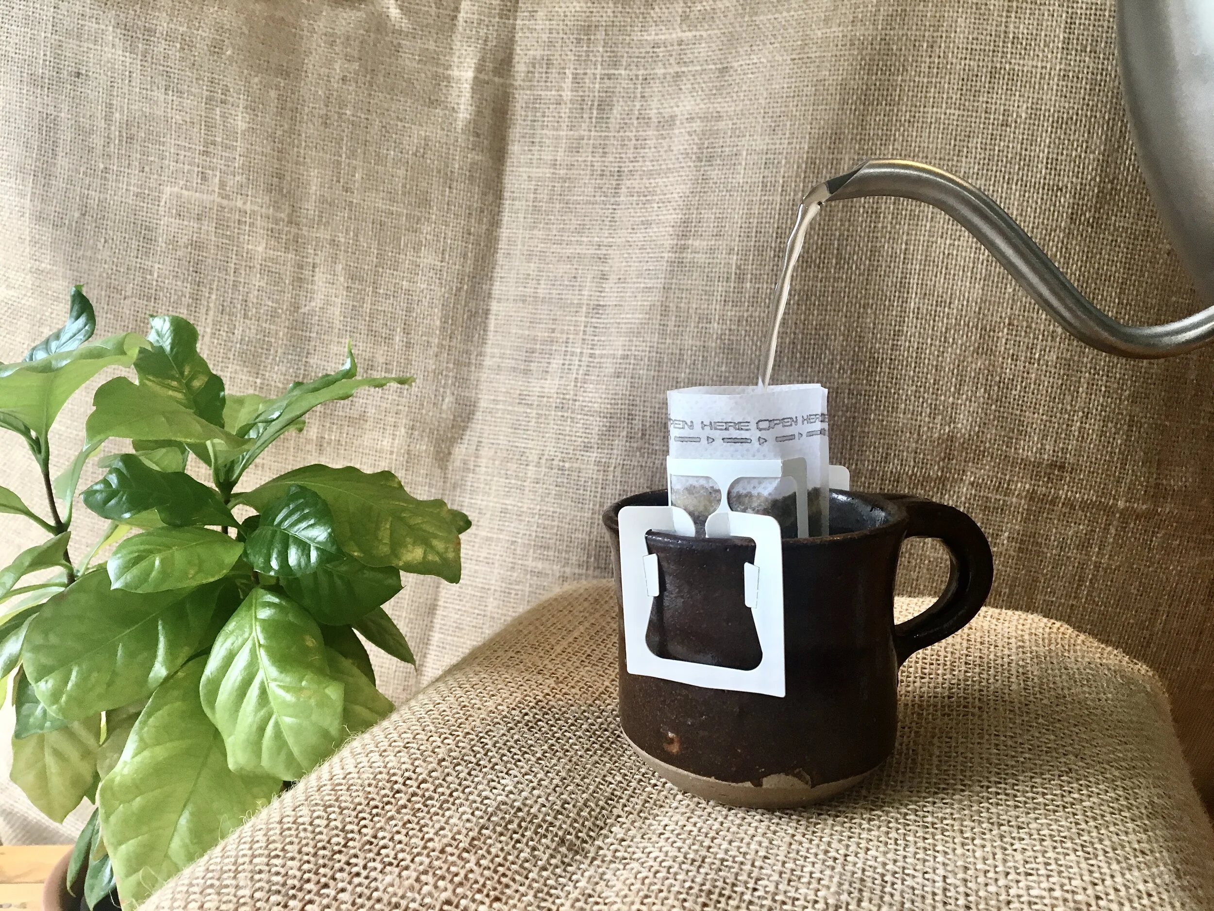 *Pre-order* Season's Harvest Coffee - Perfect Brew Bundle