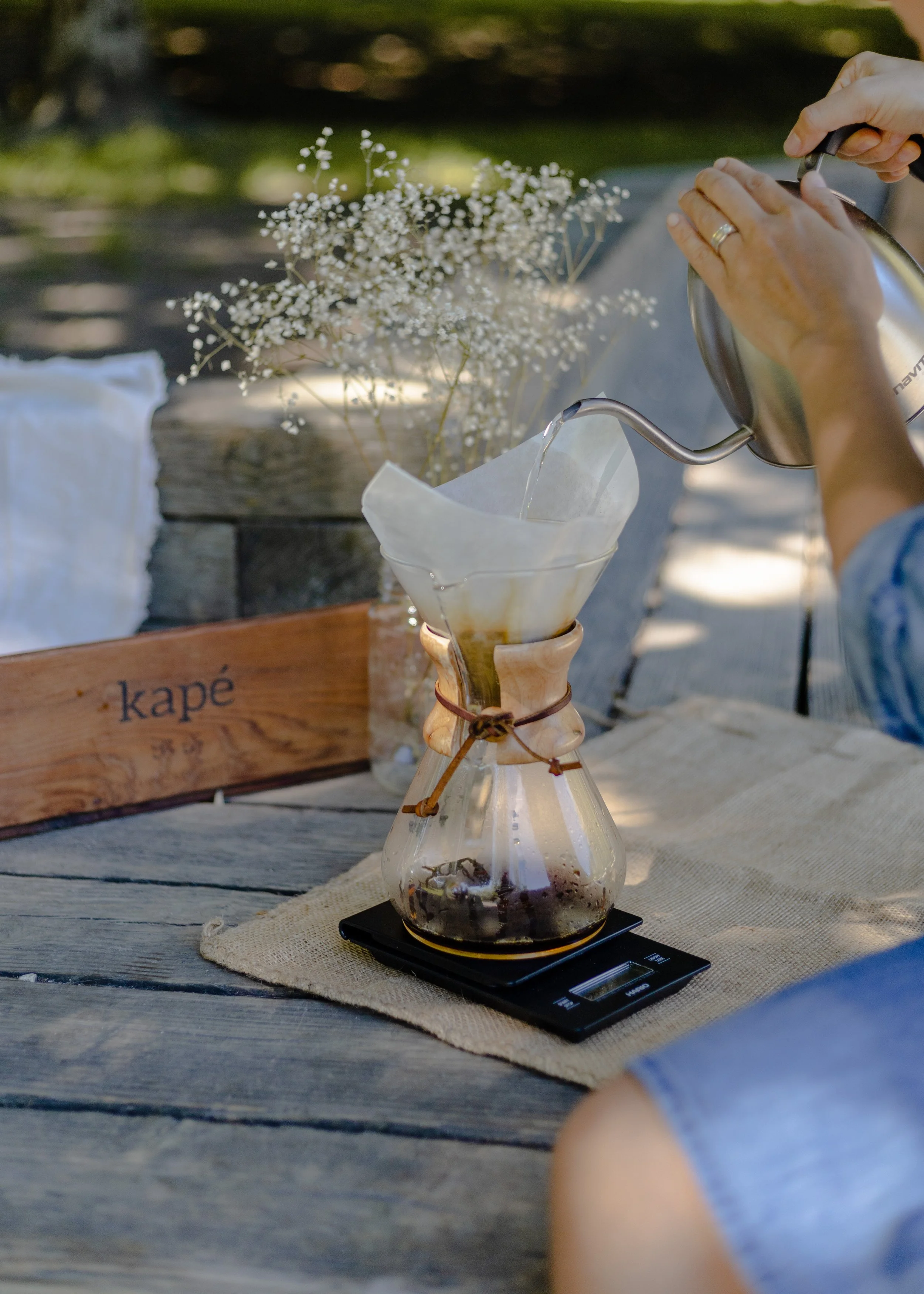Kape summer picnic 2024-3218.jpg