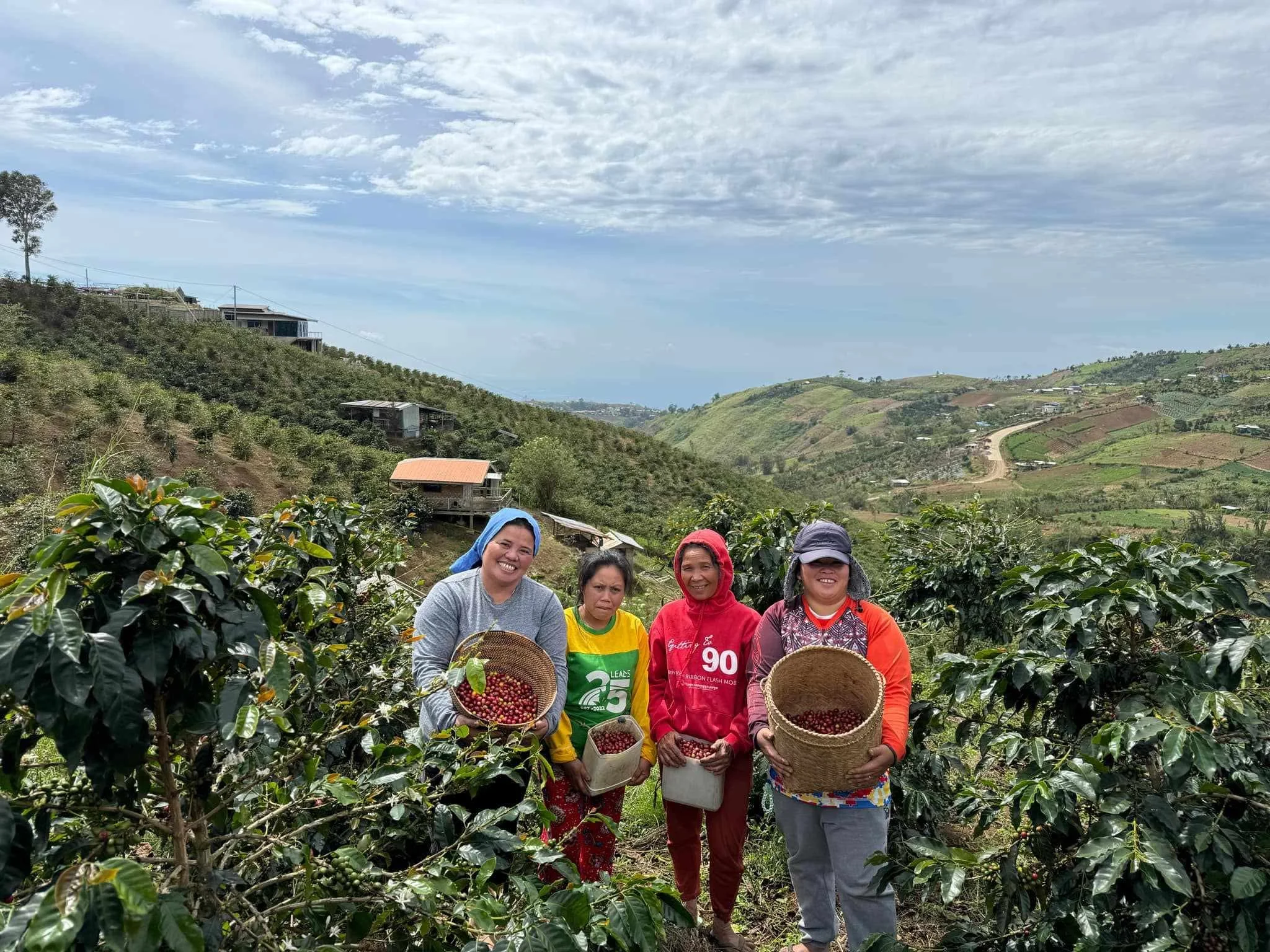 f911089a5d4bac6ea4f0bbcf37053cdc 2.JPEG