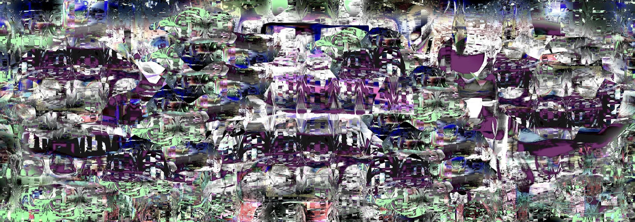Viola-notturna.jpg