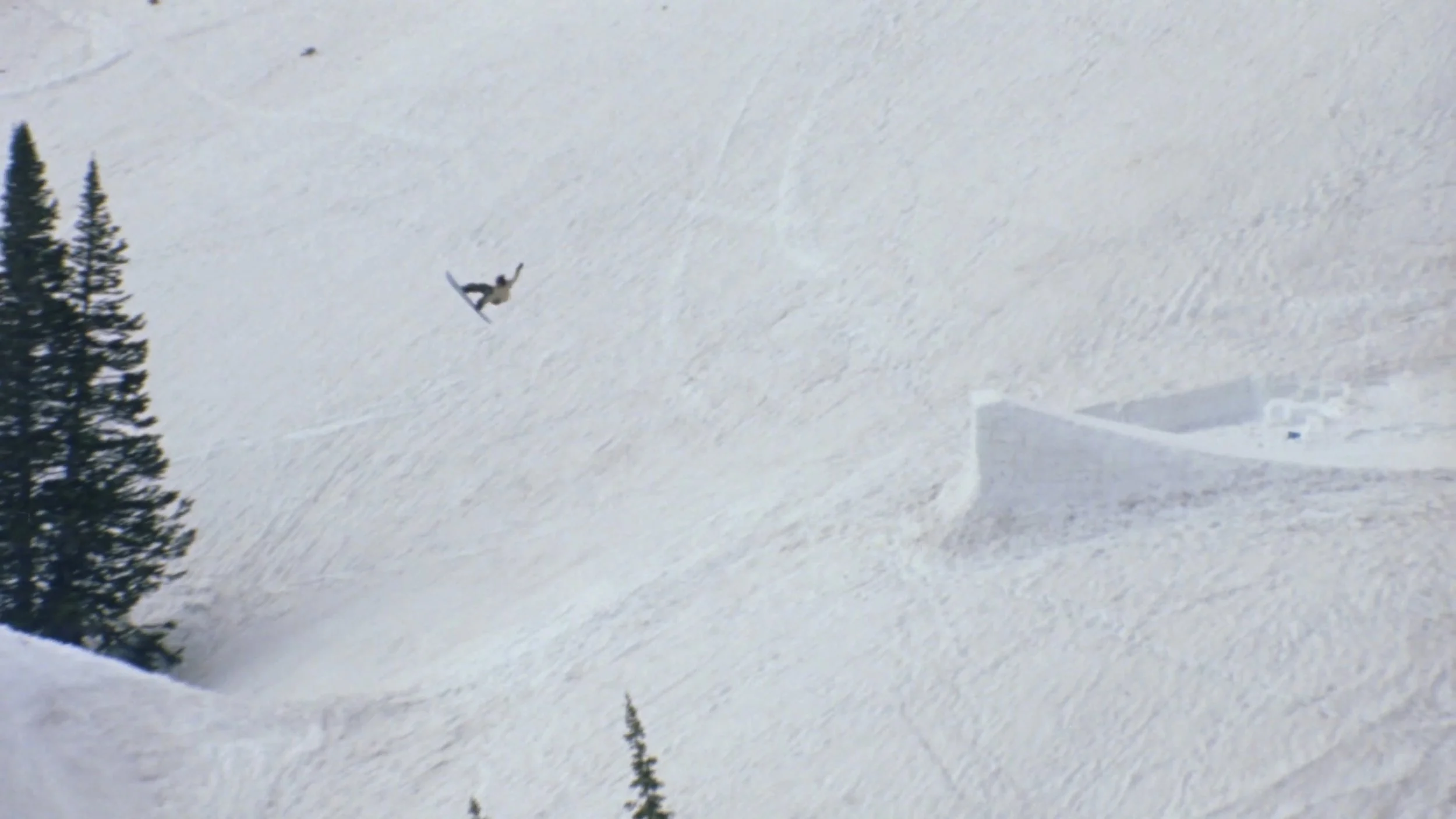 Portraits: Sam Taxwood