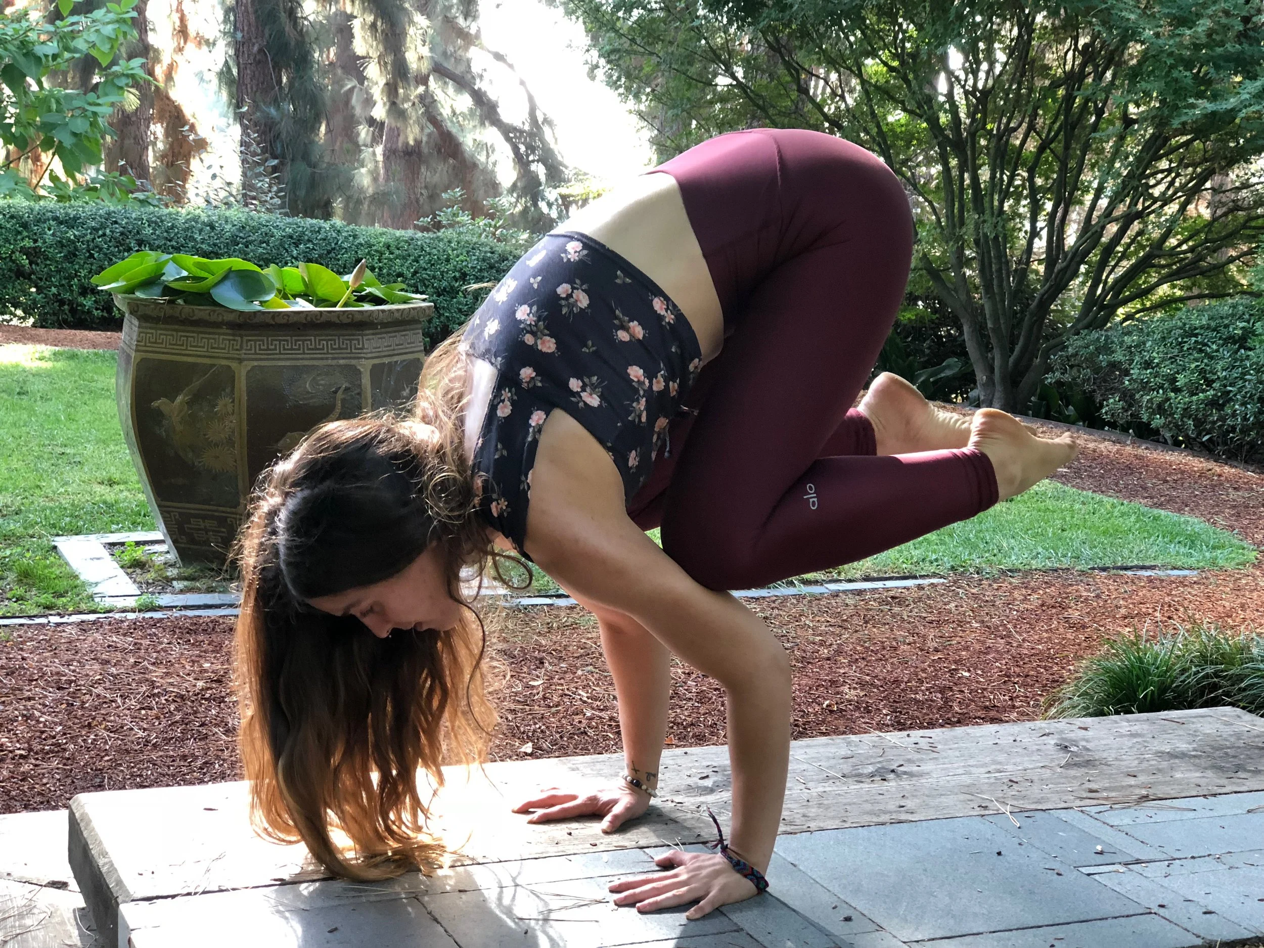 idartheryoga-crowpose-meditationgardens