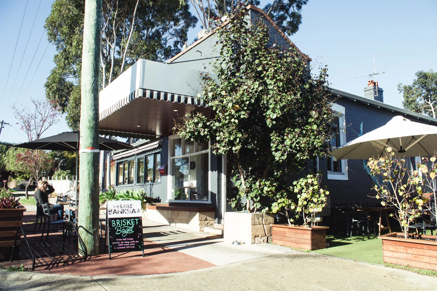 Banksia-22.jpg
