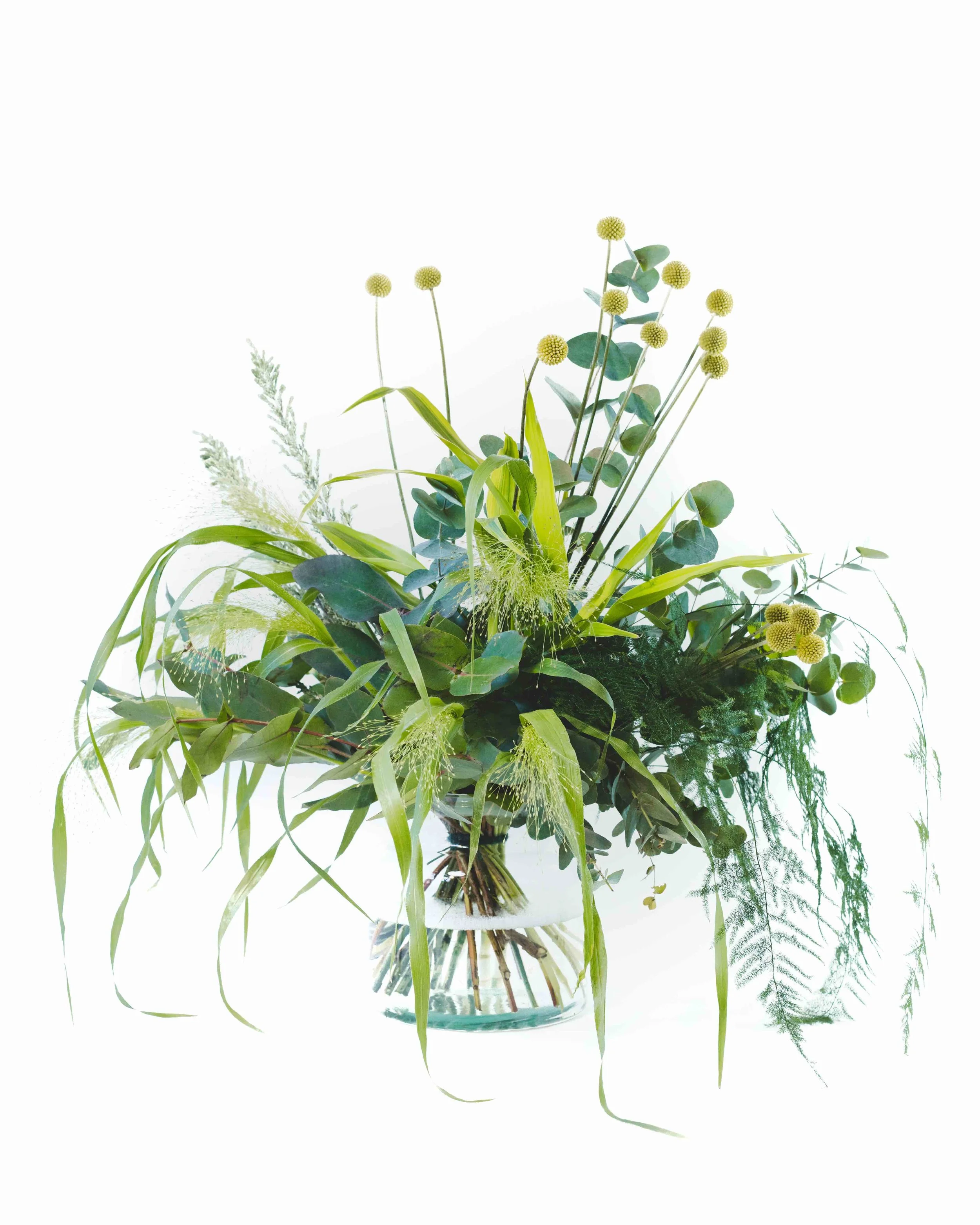 Flowers at Lansdowne Florist