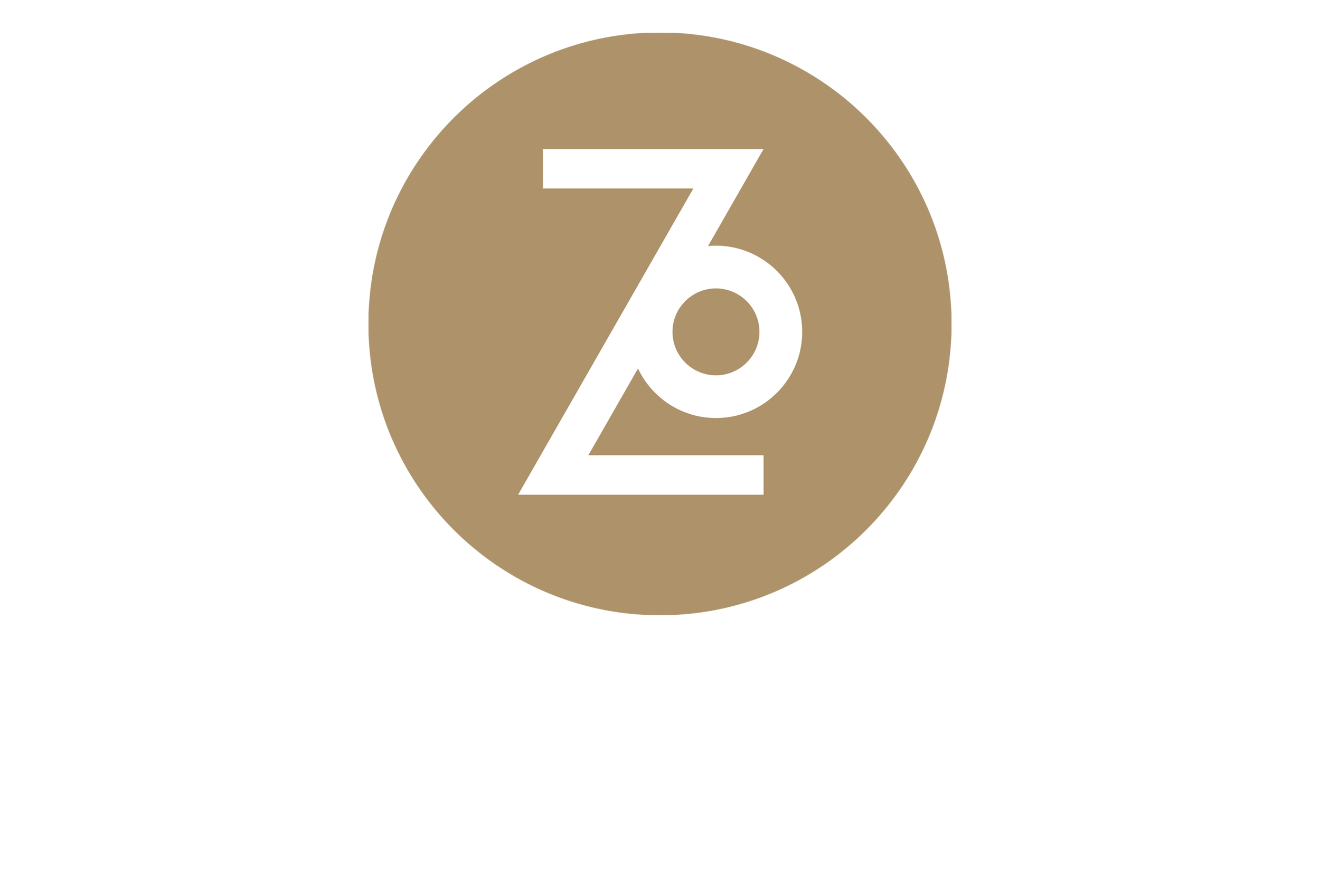 Z_ZoeHoop.png
