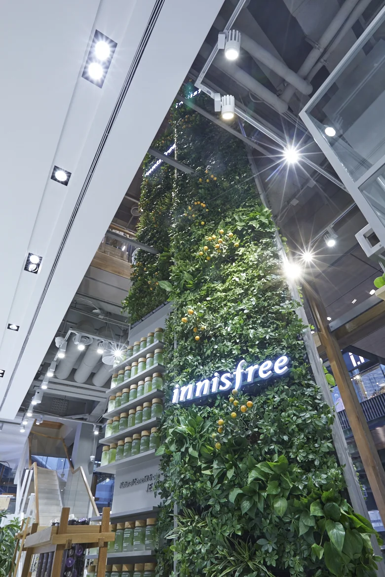 0117_innisfree_0598.jpg