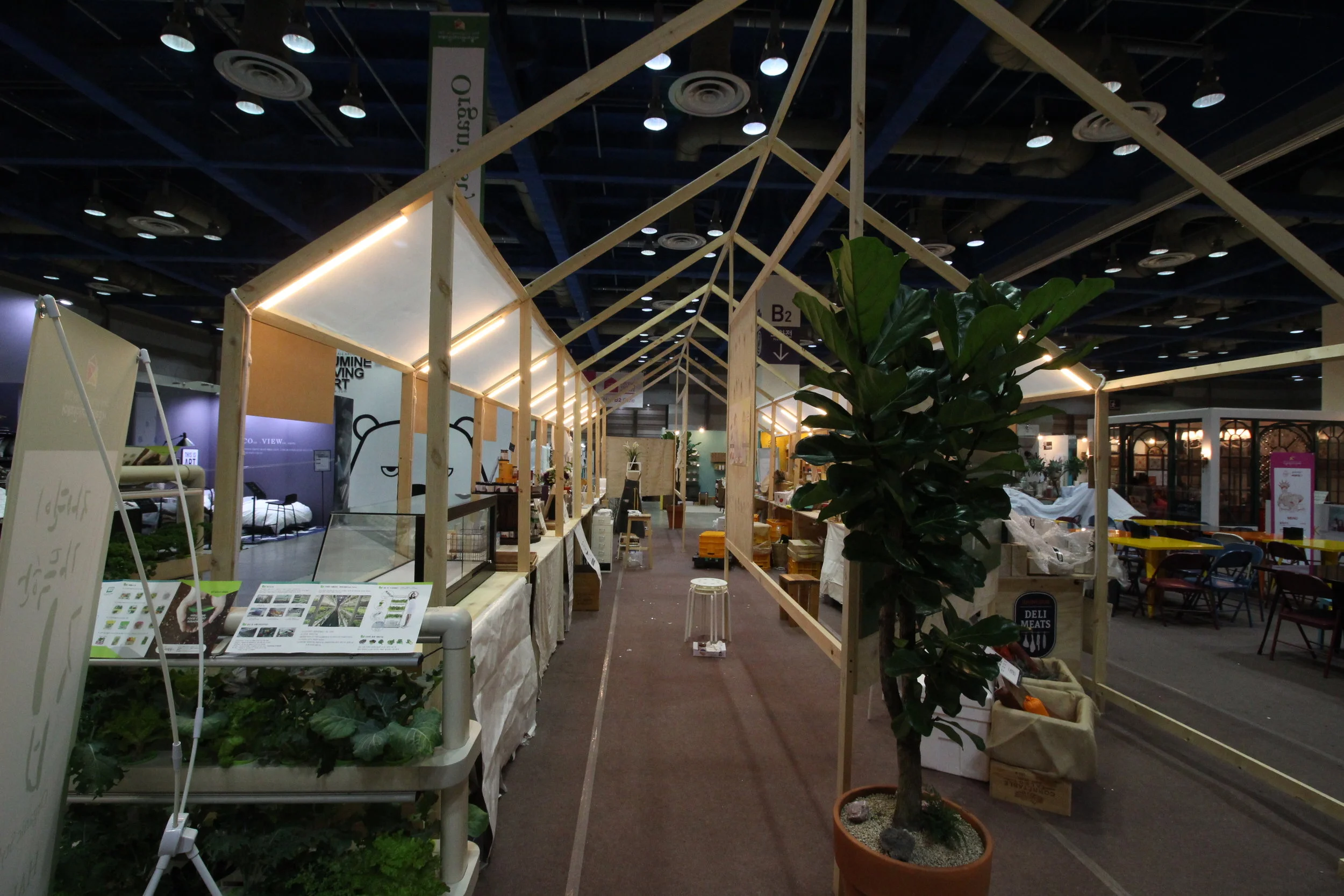 IMG_7006.jpg