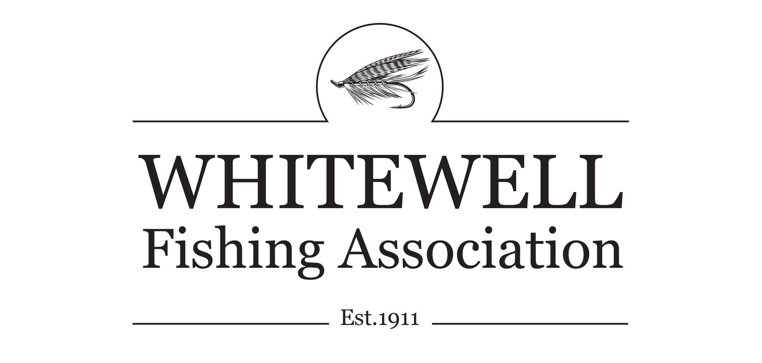 The Whitewell Fishing Association