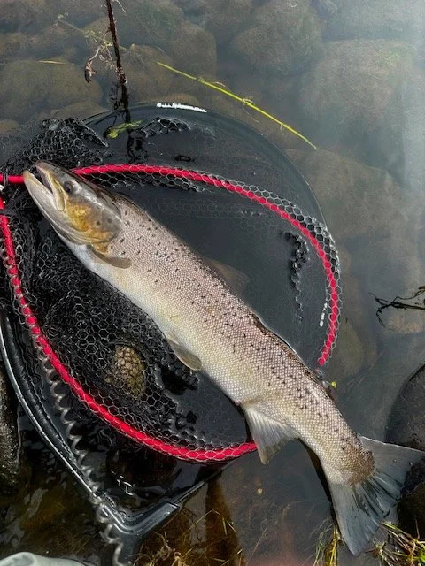james B Sept sea trout 2026.jpg