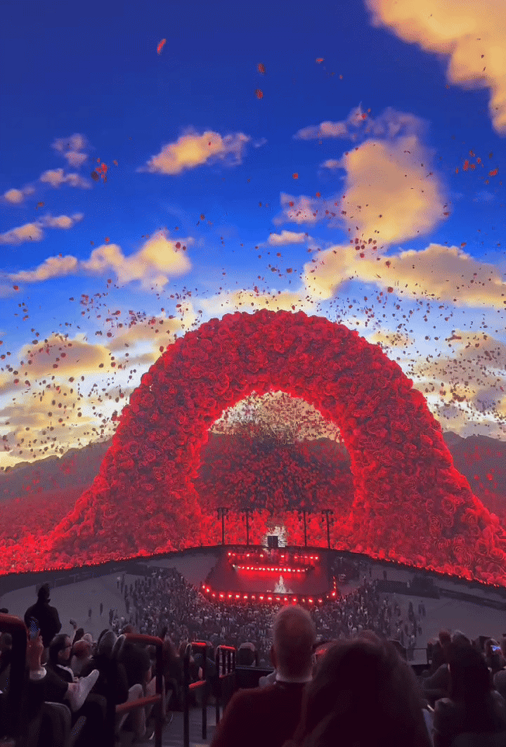 ezgif.com-video-to-gif-converter (1) smaller.gif